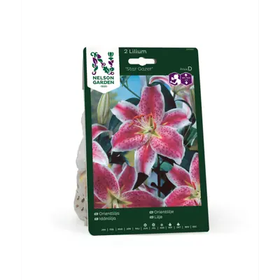 Høstløk orientlilje Star Gazer