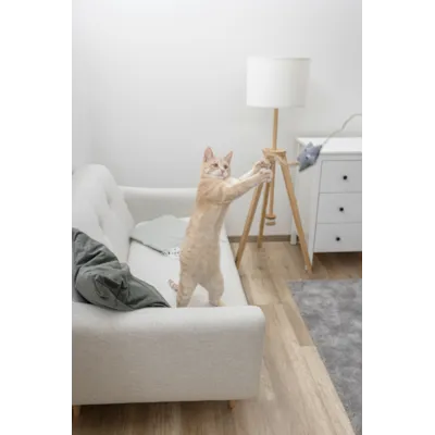 Katteleke fiskestang med stjerne, bilde 2