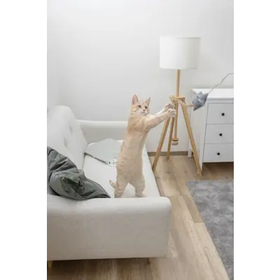 Katteleke fiskestang med stjerne, bilde 2