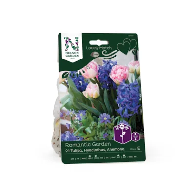 Høstløk blanding Romantic Garden