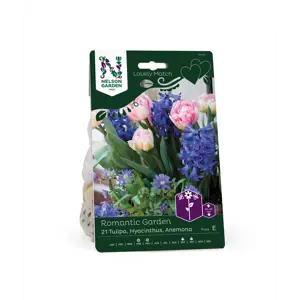 Høstløk blanding Romantic Garden