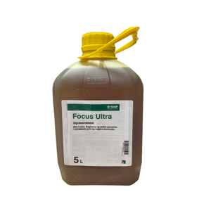 Focus Ultra 5 L