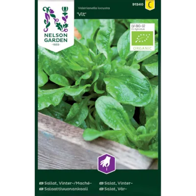 Frø vintersalat Vit økologisk