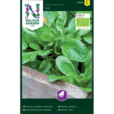 Frø vintersalat Vit økologisk