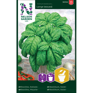 Frø salatbasilikumLarge Leaved