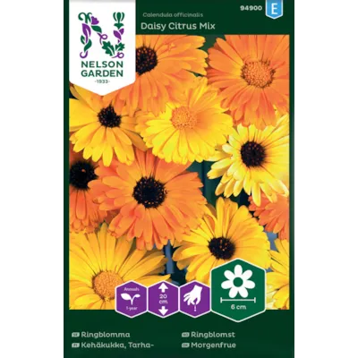 Frø ringblomst Daisy Citrus Mix