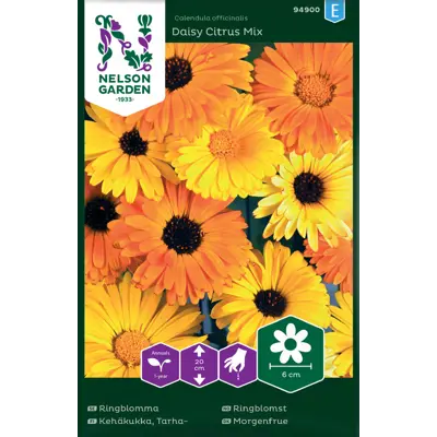Frø ringblomst Daisy Citrus Mix