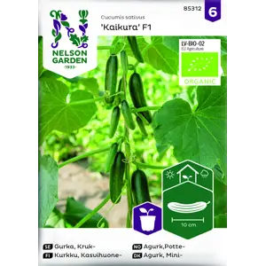 Frø potteagurk Kaikura økologisk