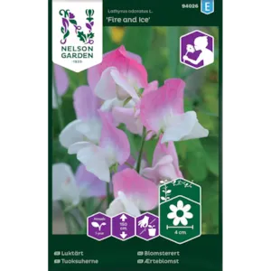 Frø blomsterert Fire and Ice