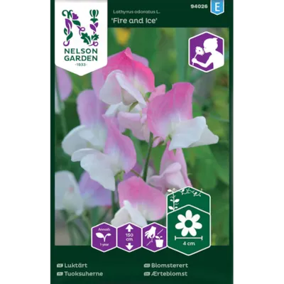 Frø blomsterert Fire and Ice