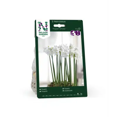 Høstløk tasett Paper White