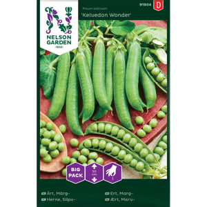 Frø margert Kelvedon Wonder Big Pack