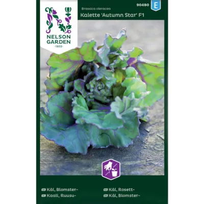 Frø rosettkål Kalette Autumn Star