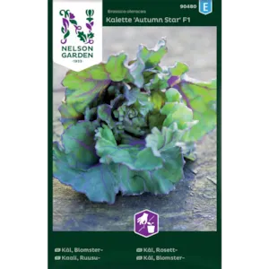Frø rosettkål Kalette Autumn Star