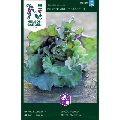 Frø rosettkål Kalette Autumn Star