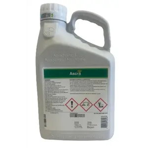 Ascra Xpro 5 L