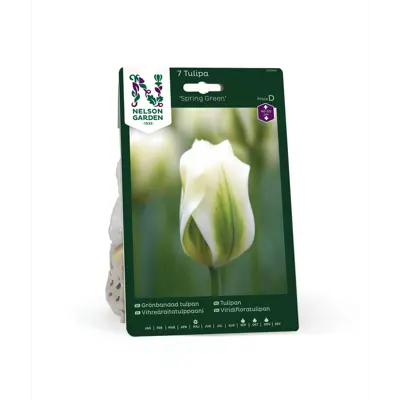 Høstløk tulipan Spring Green
