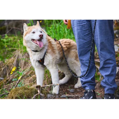 Kobbel Rock 180 cm svart, bilde 4