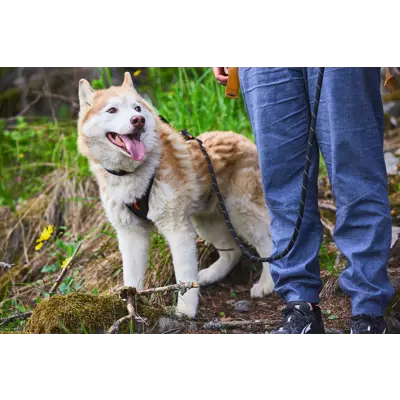 Kobbel Rock 180 cm svart, bilde 4