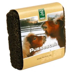 Pussestein