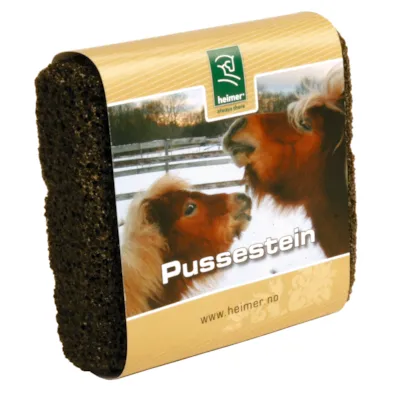 Pussestein