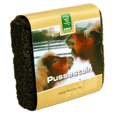 Pussestein
