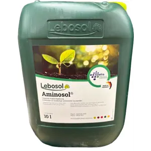 Aminosol 10 L