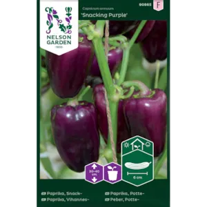Frø pottepaprika Snacking Purple