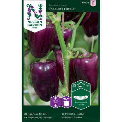Frø pottepaprika Snacking Purple