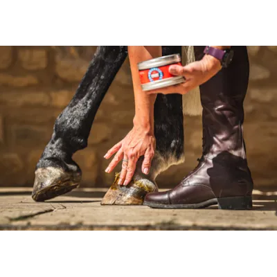 Cornucrescine Original Hoof Ointment 500 ml, bilde 2