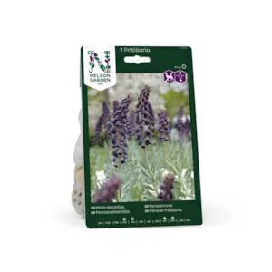 Høstløk persiakrone