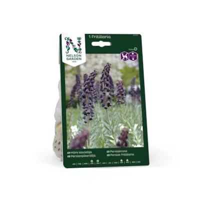 Høstløk persiakrone