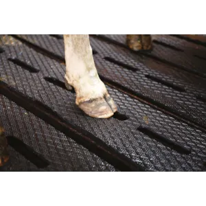 Gummimatter på spalt SFC