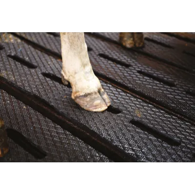 Gummimatter på spalt SFC