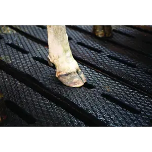 Gummimatter på spalt SFC