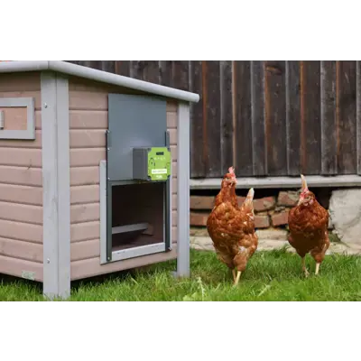 Automatisk hønedør EasyProtect, bilde 9