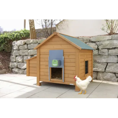 Automatisk hønedør EasyProtect, bilde 7