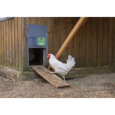 Automatisk hønedør EasyProtect, bilde 6