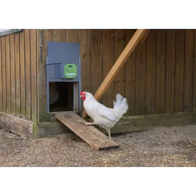 Automatisk hønedør EasyProtect, bilde 6