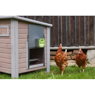 Automatisk hønedør EasyProtect, bilde 9