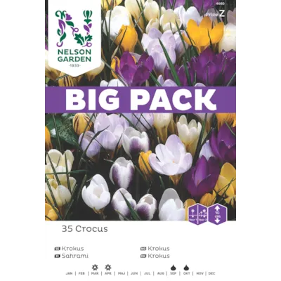 Høstløk vårkrokus blandede, bilde 3