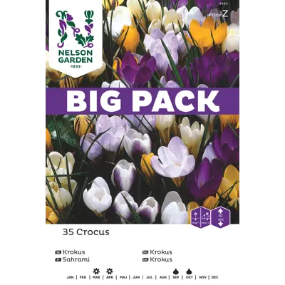 Høstløk vårkrokus blandede, bilde 3