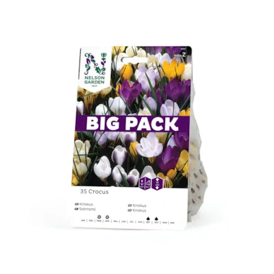 Høstløk vårkrokus blandede