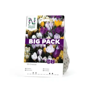 Høstløk vårkrokus blandede