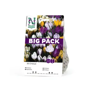 Høstløk vårkrokus blandede