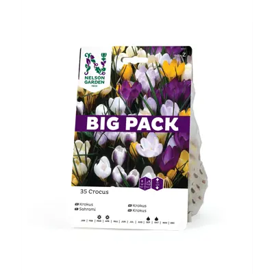 Høstløk vårkrokus blandede