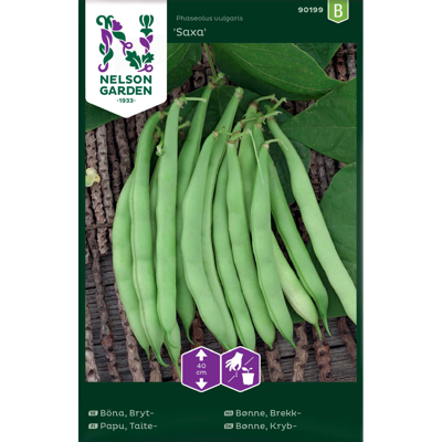 Frø brekkbønne Saxa