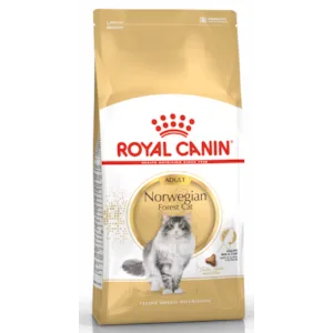 Kattemat Norwegian Forest Cat Adult 2 kg