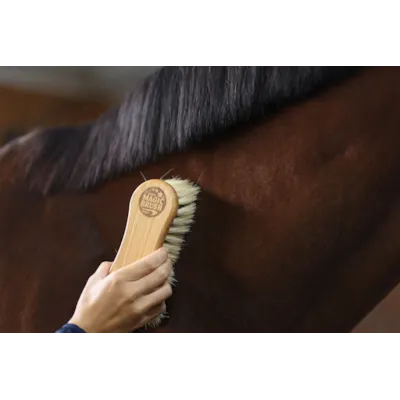 Børste Combi Horse , bilde 3