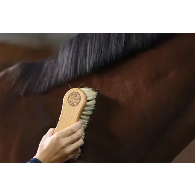 Børste Combi Horse , bilde 3